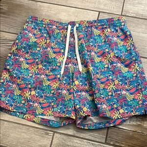 Chubbies Blue and Pink Swim Shorts